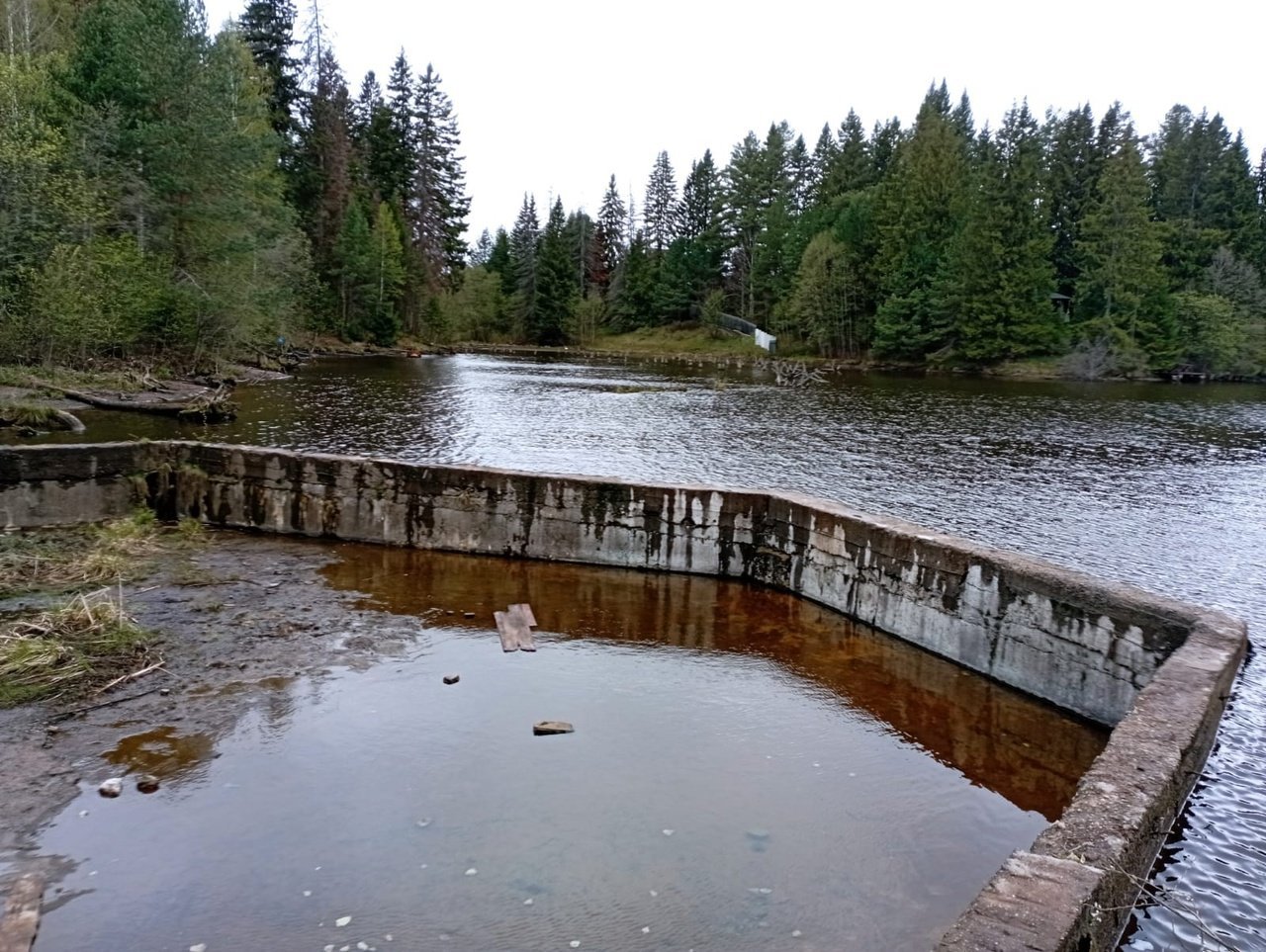 В пруду в деревне Русский Вожой для сохранности ГТС сбросили уровень воды
